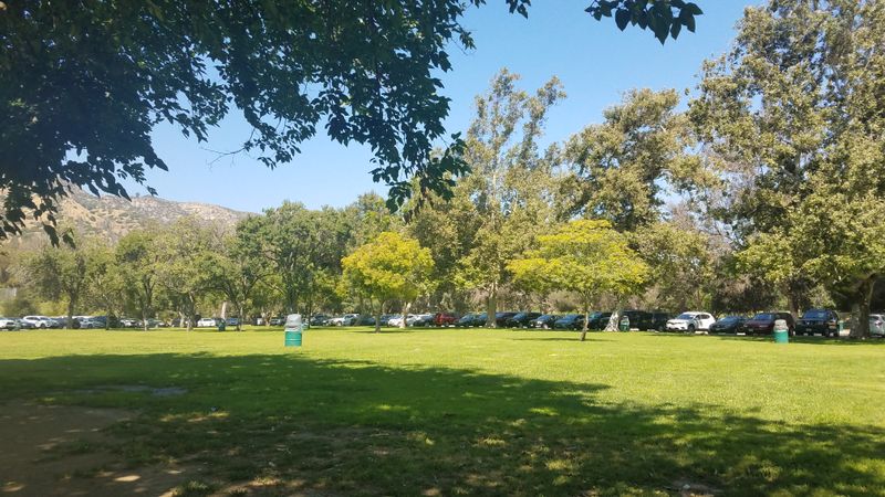 Peaceful Couples Picnic Areas