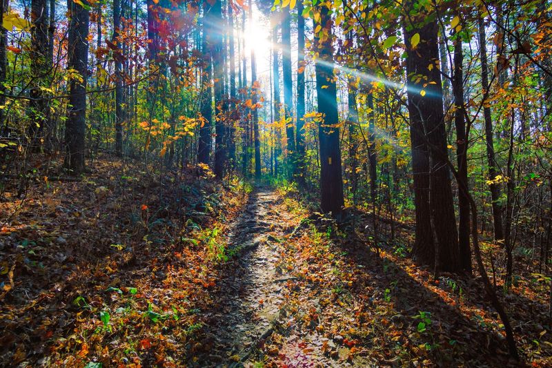 Backcountry Camping for the True Adventure Seeker