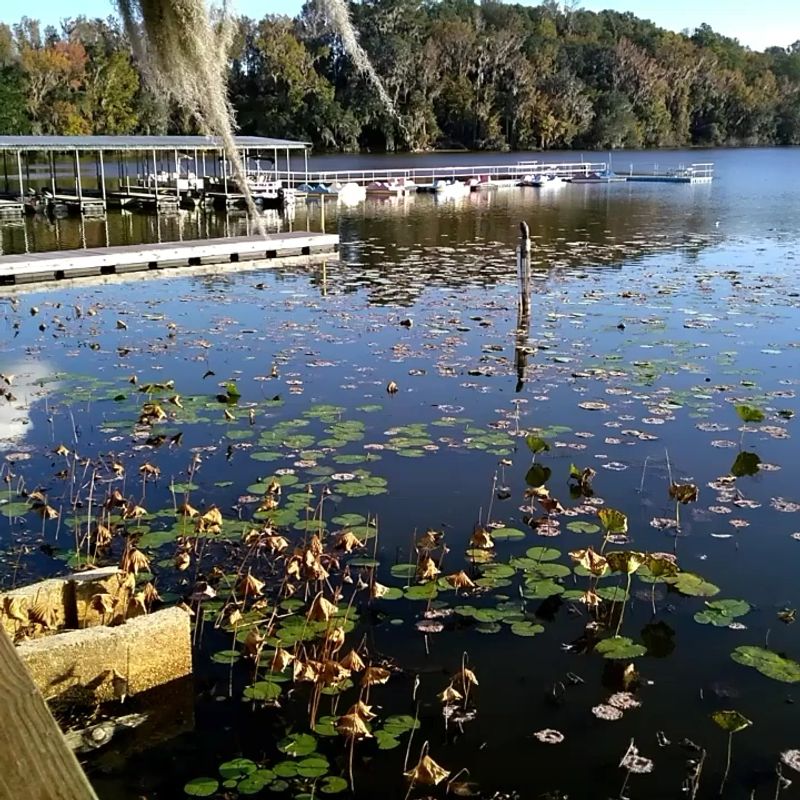 Kayaking and Canoeing in Calm Waters