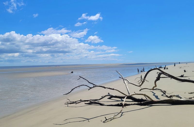 St. Catherines Island