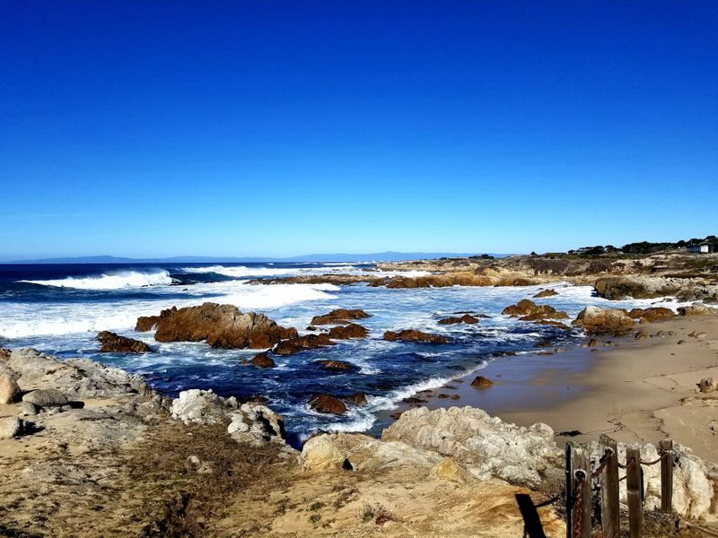 Asilomar State Beach And Pacific Grove Showcase Natural Beauty