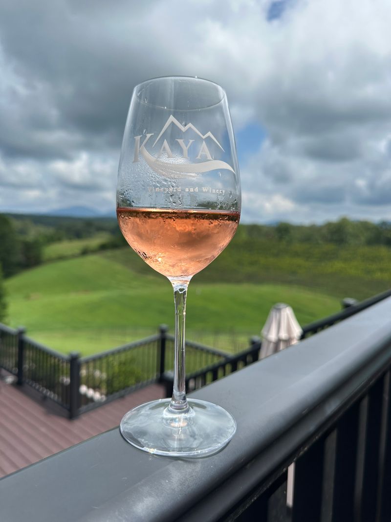 Wine Tasting Tour Through Dahlonega's Vineyards