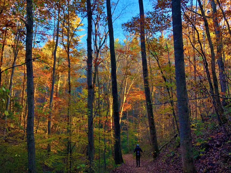 Hiking Trails for Every Skill Level