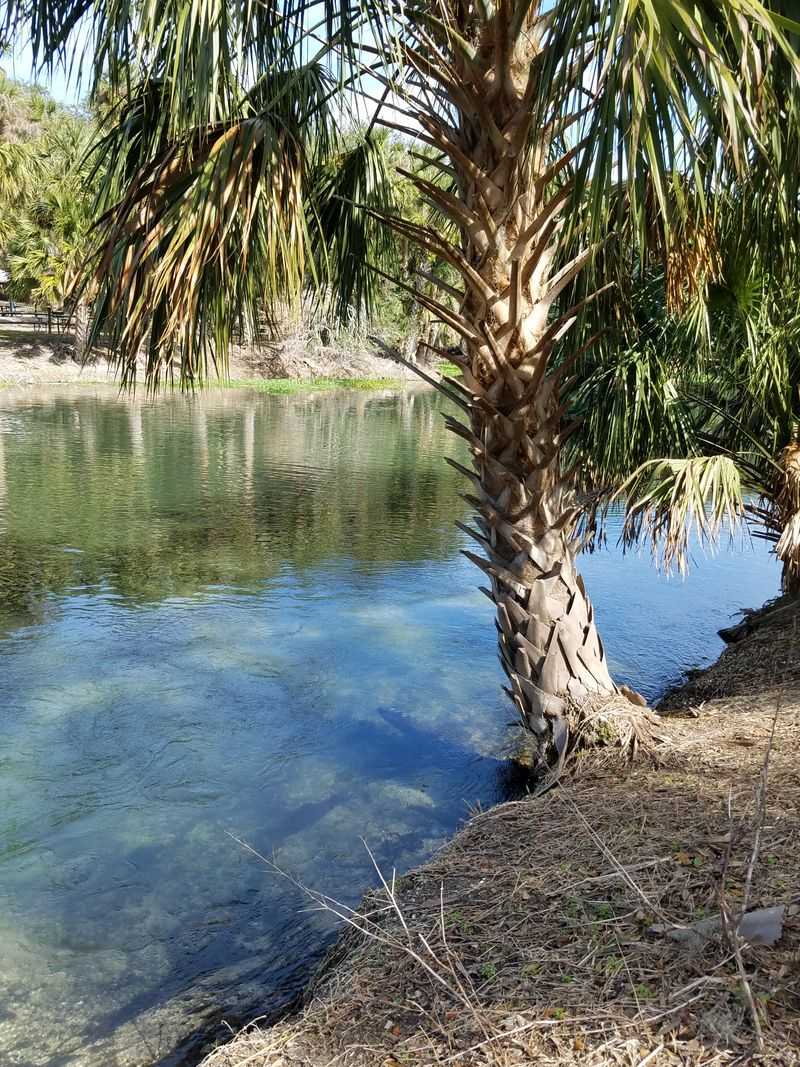 Florida’s Most Delightful Communities, Seen From A Train Window - Decor Hint DeBary