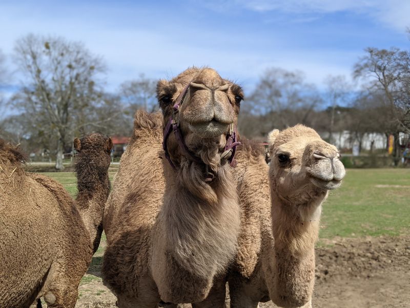 Support Ethical Exotic Animal Care