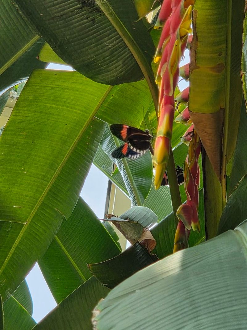 Scenic Surroundings That Extend the Experience Outdoors