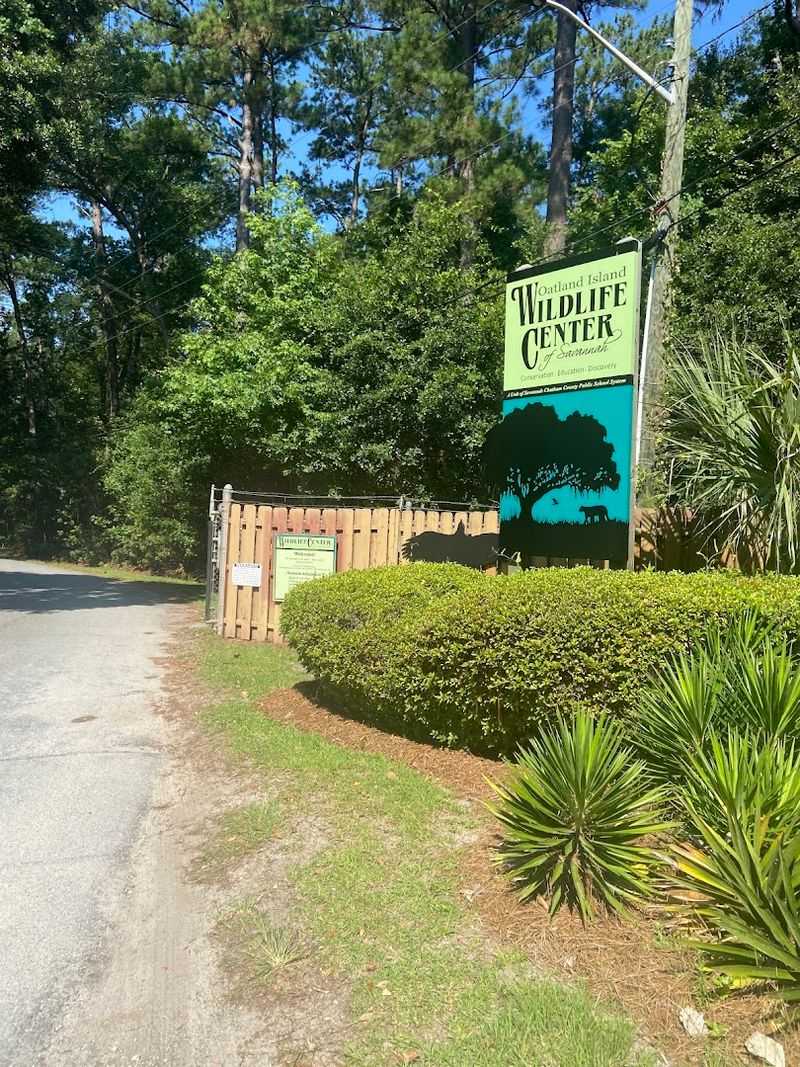 This Savannah Georgia Destination Features A Historic Building Used In Hollywood Movies And Has A Wolf Wilderness Exhibit - Decor Hint Gift Shop With Wildlife-Inspired Treasures