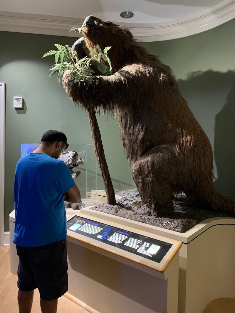 Step Into The Land Of Giants At This Incredible Atlanta Georgia Museum That Houses The World's Largest Dinosaurs - Decor Hint Fantastic Forces