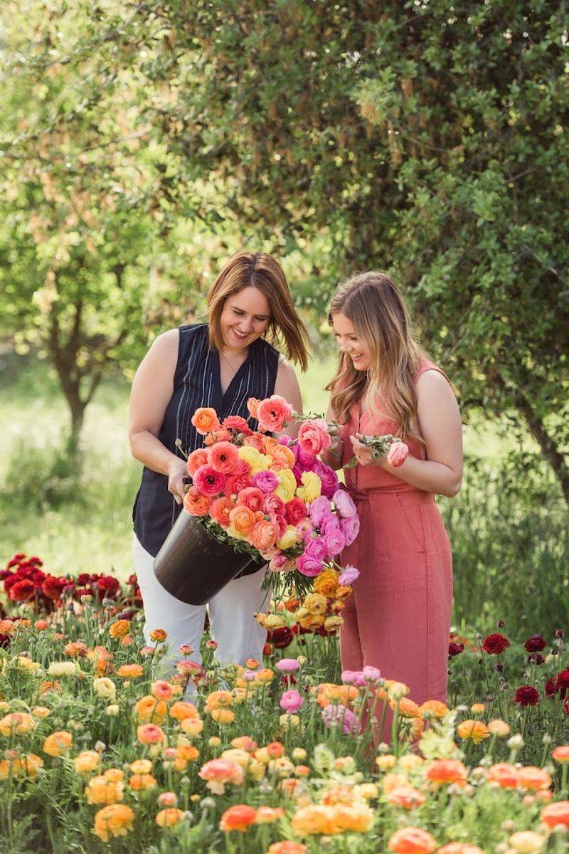 Backroad Blooms Flower Farm