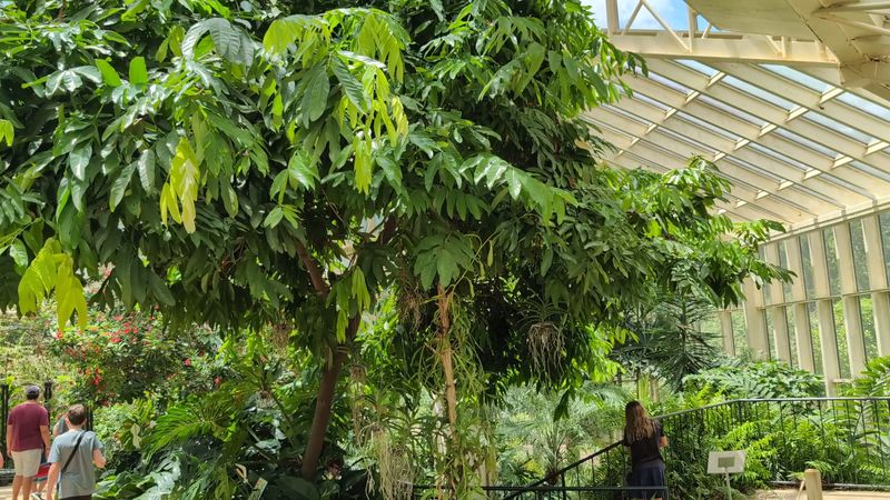 Proximity to Other Callaway Gardens Attractions Worth Exploring