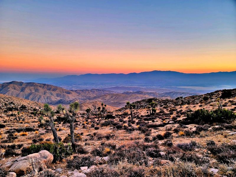 21 Best Places To Visit In California In March - Decor Hint Joshua Tree National Park