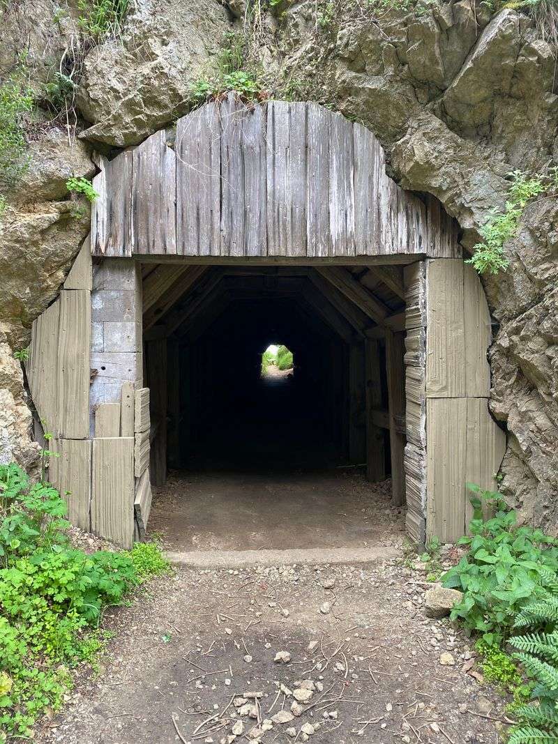 Partington Cove Historic Tunnel