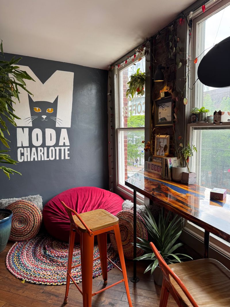 Affordable Pricing Structure