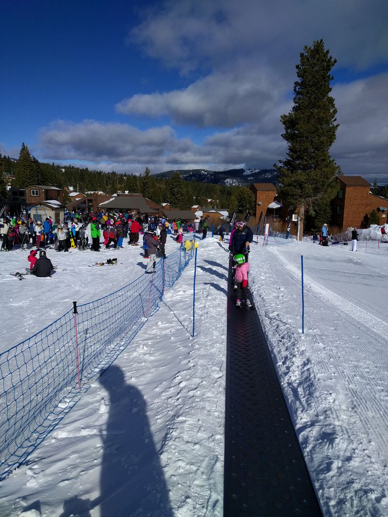 Compact Vertical Drop Perfect For Learning