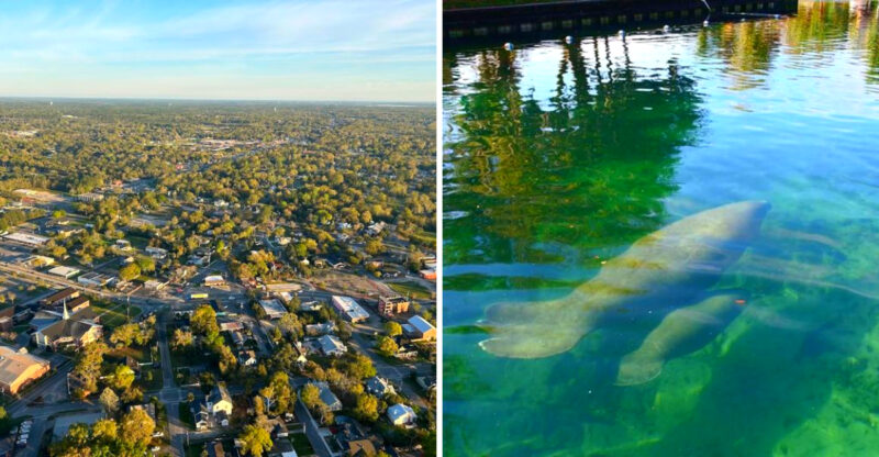 10 Affordable Florida Cities Where You Can Retire On $1,200 A Month Or Less