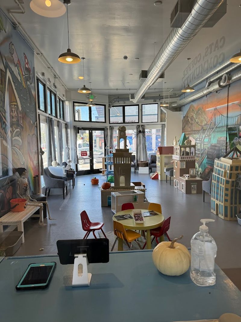 10 Cozy Cat Cafes In California Where You Can Relax With Adorable Felines - Decor Hint Cat Town Cafe