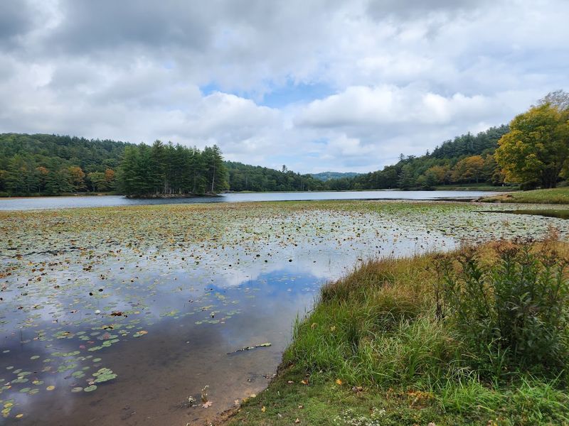 Bass Lake Loop, Blowing Rock