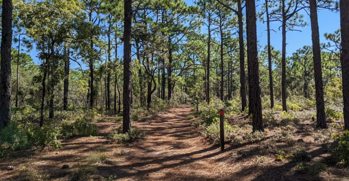 10 Gorgeous North Carolina State Parks That Belong On Every Nature Lovers Bucket List 2 - Decor Hint