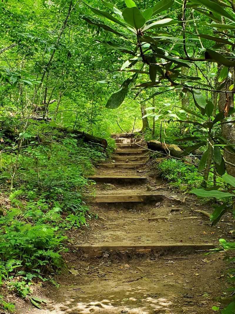 Looking Glass Rock Trail