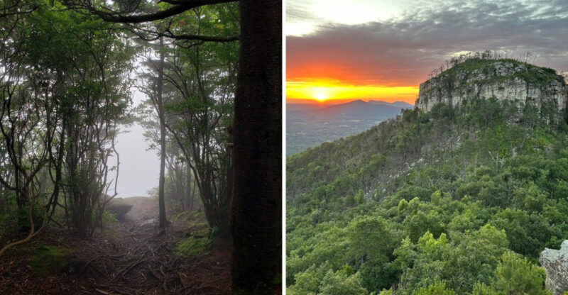 10 North Carolina Trails That Reward You With Incredible Views