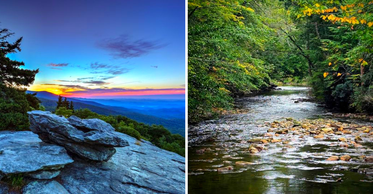 10 Quiet Hiking Trails In North Carolina Tourists Rarely Discover - Decor Hint