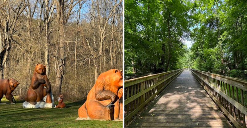 10 Scenic North Carolina Bike Rides Perfect For A Weekend Adventure