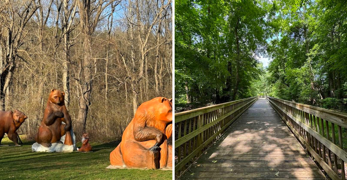 10 Scenic North Carolina Bike Rides Perfect For A Weekend Adventure - Decor Hint