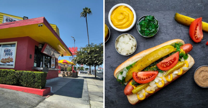 10 Secret Hot Dog Spots In California That Will Make Your Taste Buds Dance