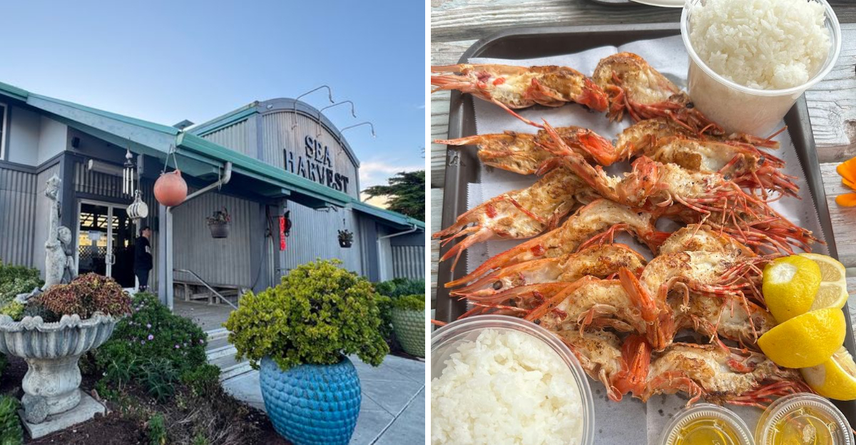 11 California Seafood Shacks That Outshine The Fancy Places In 2026 - Decor Hint