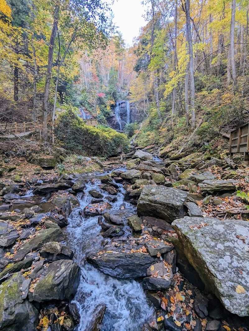 Anna Ruby Falls Trail