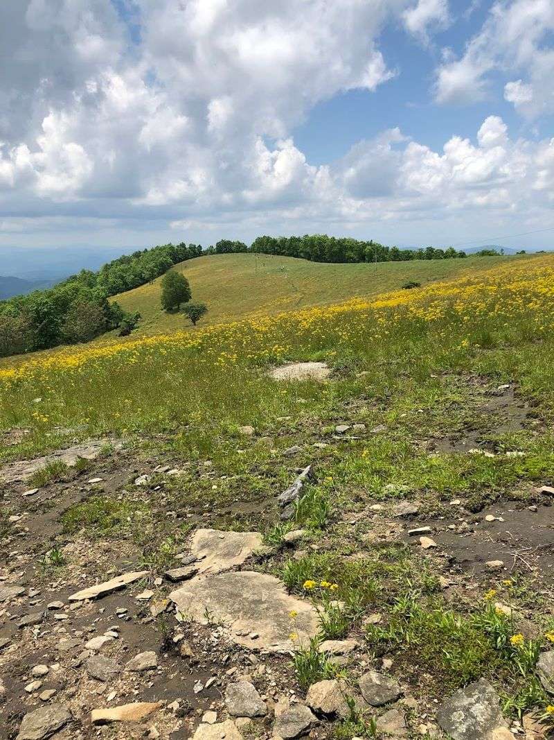Bearwallow Mountain Trail, Gerton