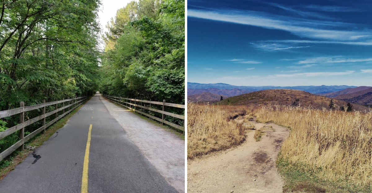 12 Easy North Carolina Hikes For A Perfect Spring Weekend 3 - Decor Hint