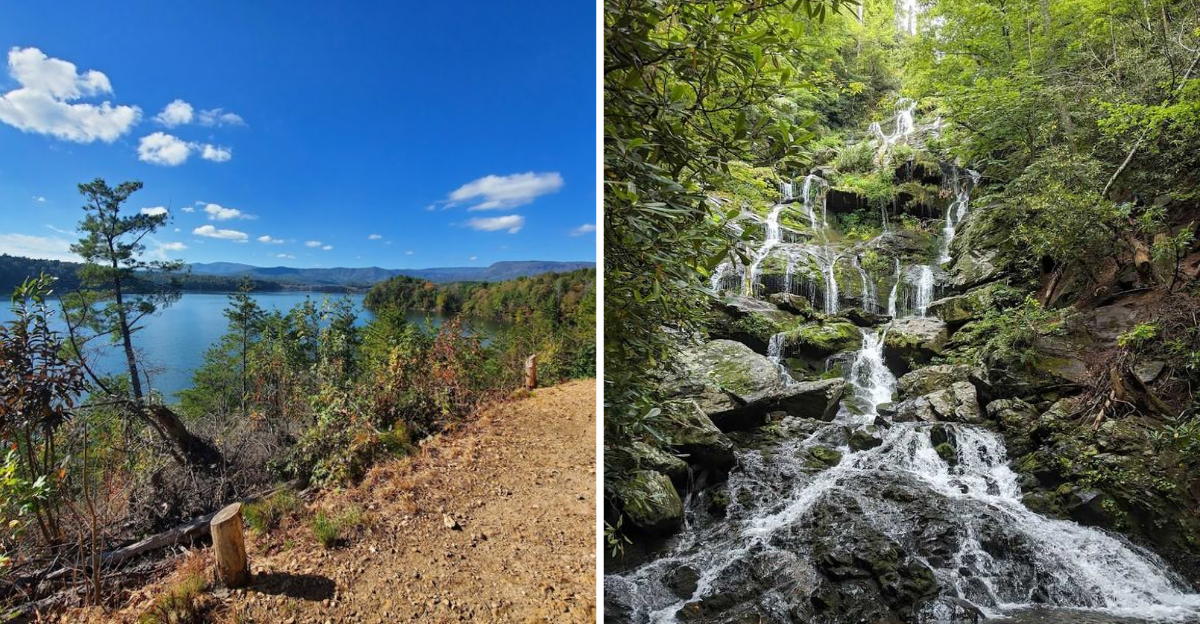 12 Scenic Trails In North Carolina That Bring Spring To Life 2 - Decor Hint