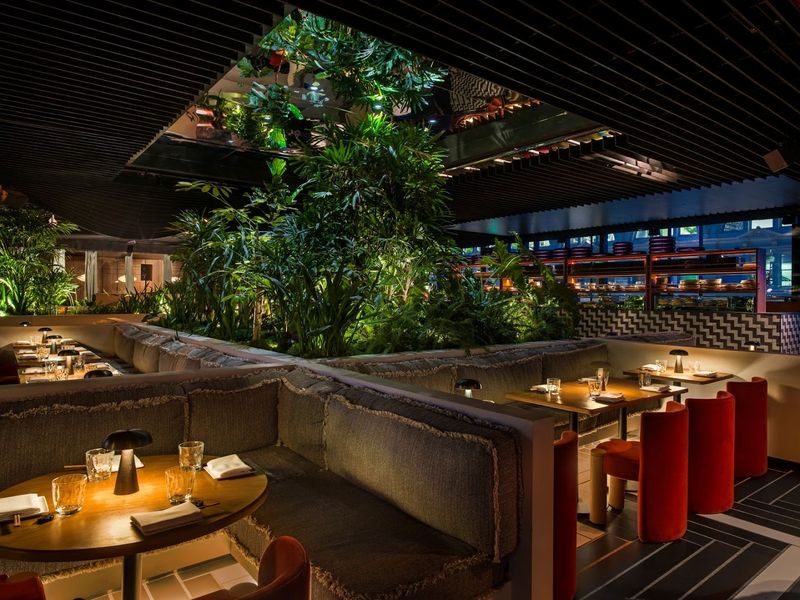 Chotto Matte, San Francisco