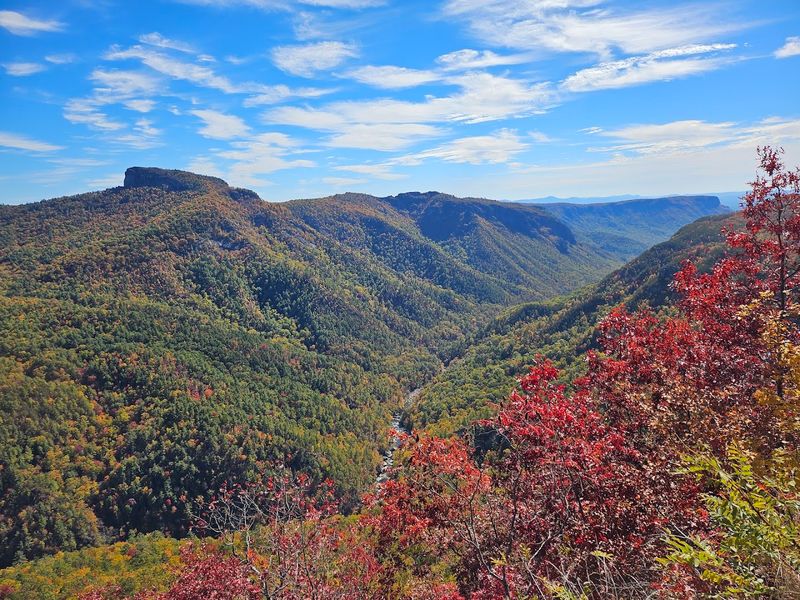 Linville Gorge Wilderness