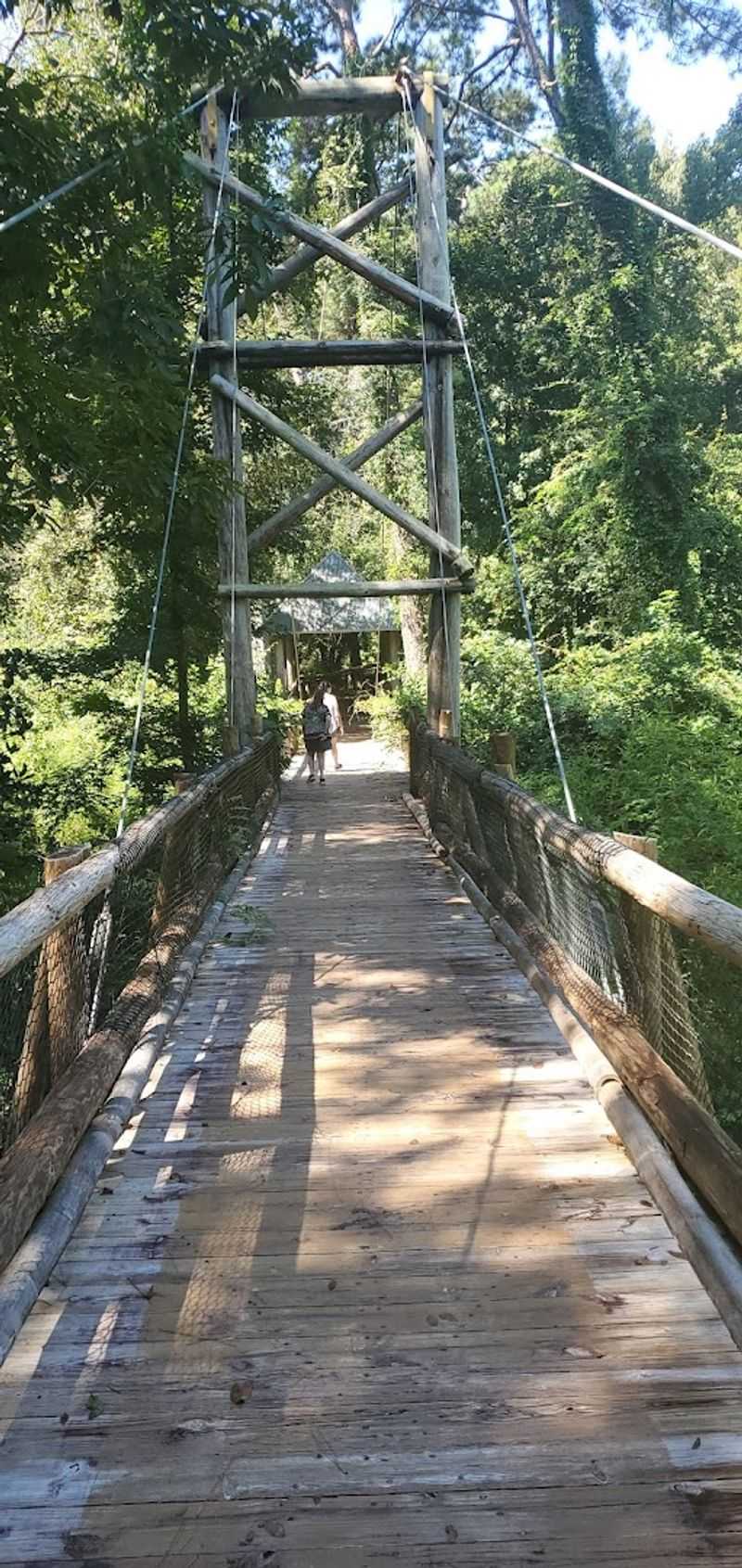 Nature Trails Through Diverse Ecosystems