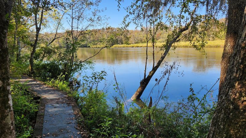 Birdwatching Along Georgia's Colonial Coast Birding Trail