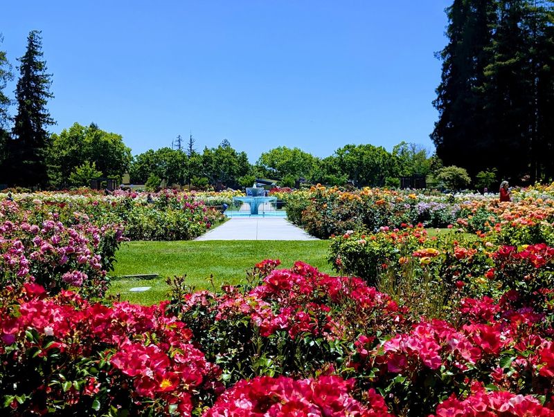 San Jose Municipal Rose Garden