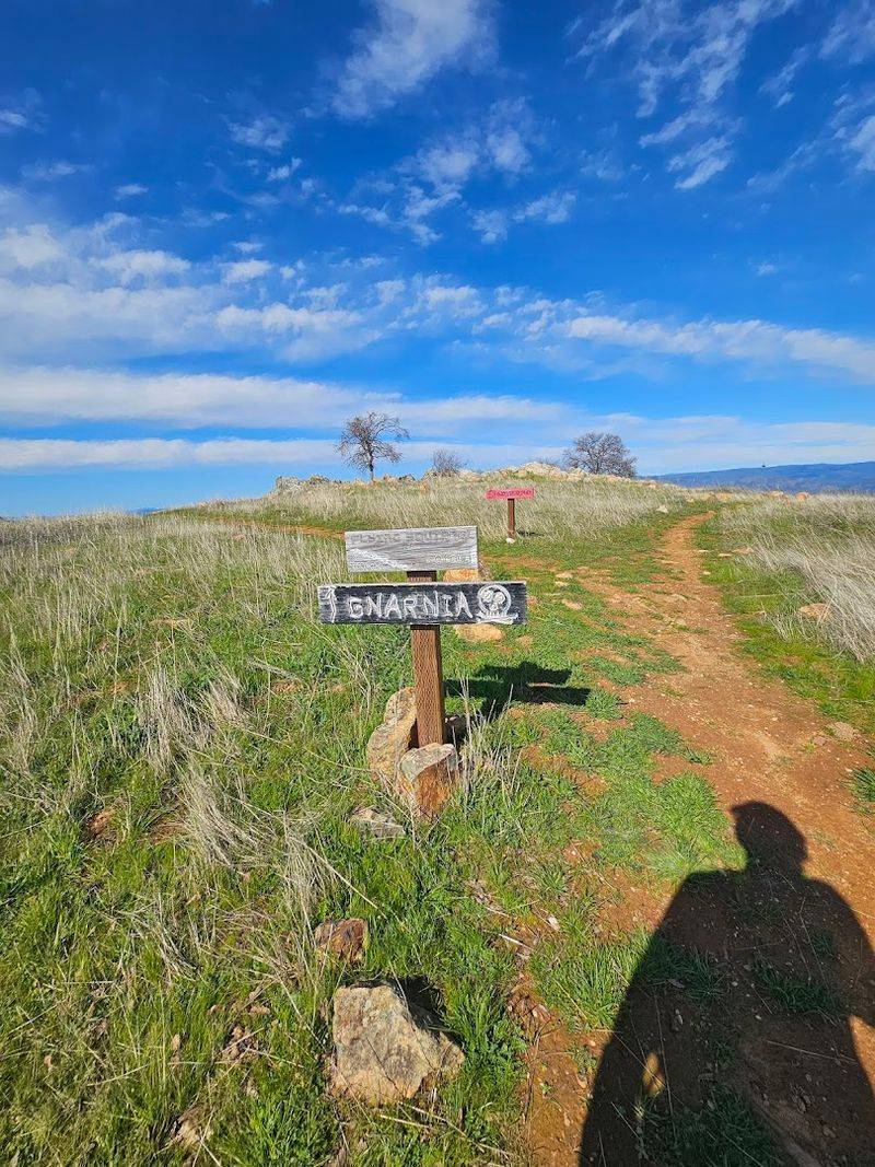 This Mountain Bike Park In La Grange, California Is A Spring Adventure Every Rider Should Try - Decor Hint Over 40 Miles Of Mapped And Signed Trails
