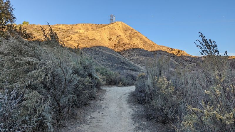 Designed And Built By Avid Trails