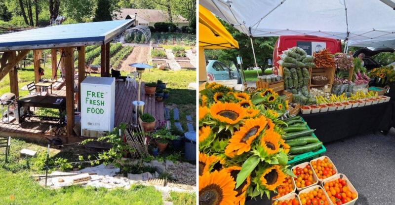 8 Must-Visit Farmers Markets In Asheville, North Carolina