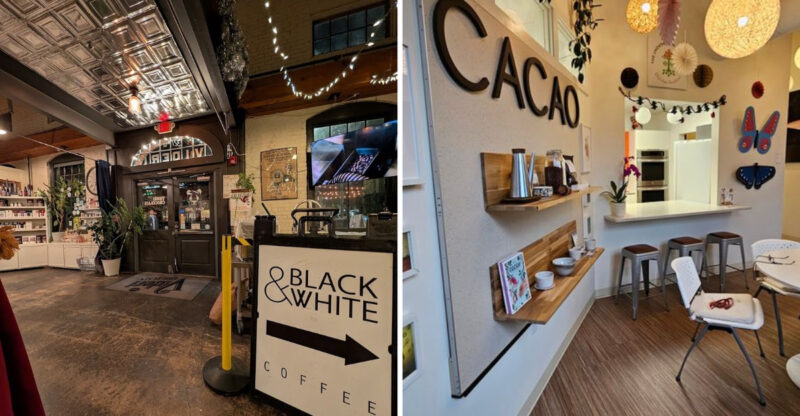 9 North Carolina Chocolatiers Creating Bonbons And Truffles That Look Like Edible Art