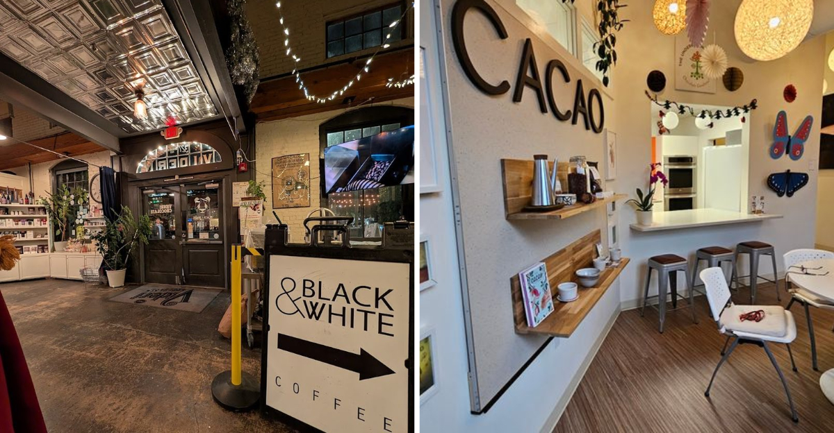 9 North Carolina Chocolatiers Creating Bonbons And Truffles That Look Like Edible Art 4 - Decor Hint