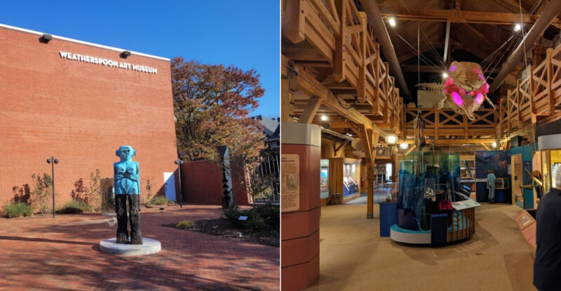 9 North Carolina Museums You Can Explore For Free This March