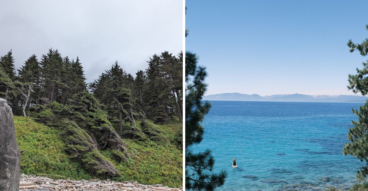 A 1 Mile Hike To Secluded Northern California Beach Rewards Visitors With Redwood Views Seals And Wildflowers - Decor Hint