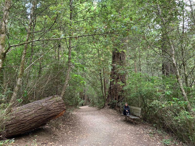 Accessibility: A Trail Built For Everyone