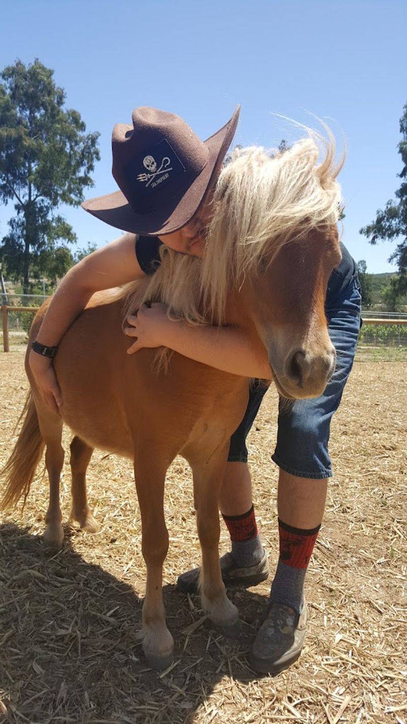 Discover This Alpine, California Petting Zoo That's Creating Big Family Memories - Decor Hint Over 200 Rescued Animals Calling This Place Home