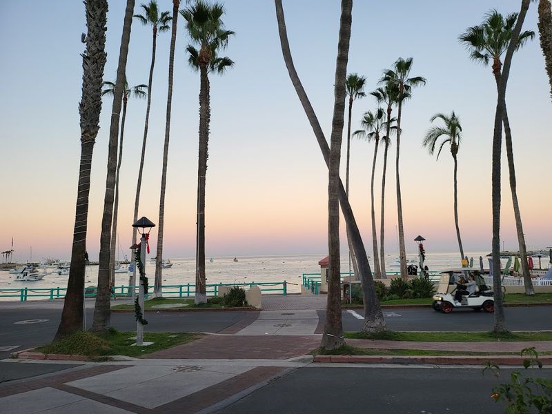 The Charming California Island Where Private Cars Are All But Banned - Decor Hint Golf Carts Rule The Road