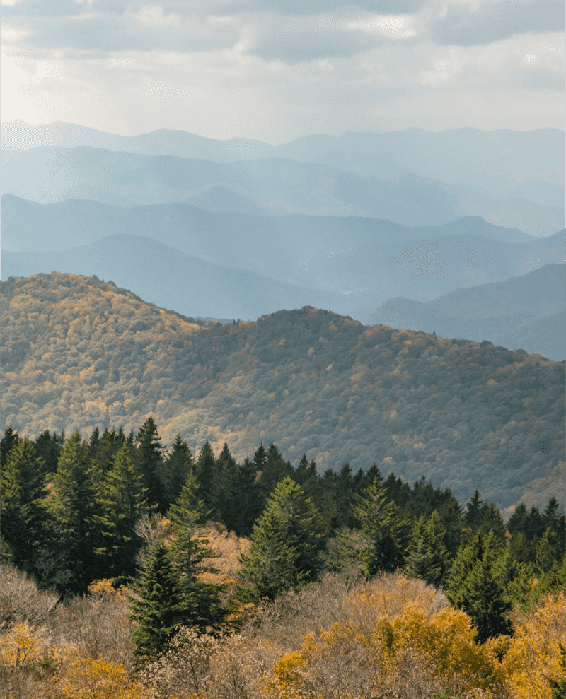 The Legacy Of The Parkway’s Construction