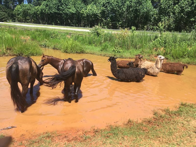 Fresh Air And Outdoor Space That Screens Cannot Offer